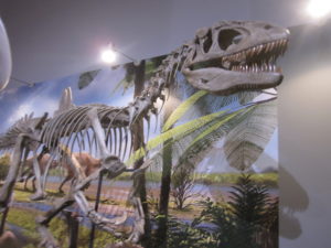 福岡市科学館　恐竜