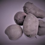 えっ?!冷蔵庫で保存したじゃがいもは発がん性がある?!