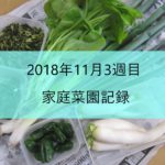 2018年11月3週目の家庭菜園記録 収穫物と作業